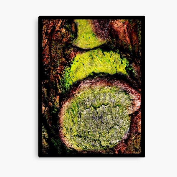 The Beard Canvas Print