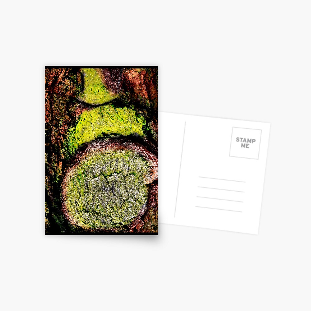The Beard Postcard