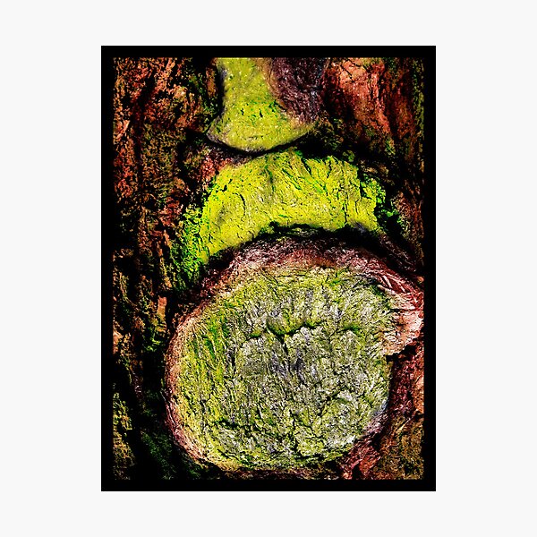 The Beard Photographic Print