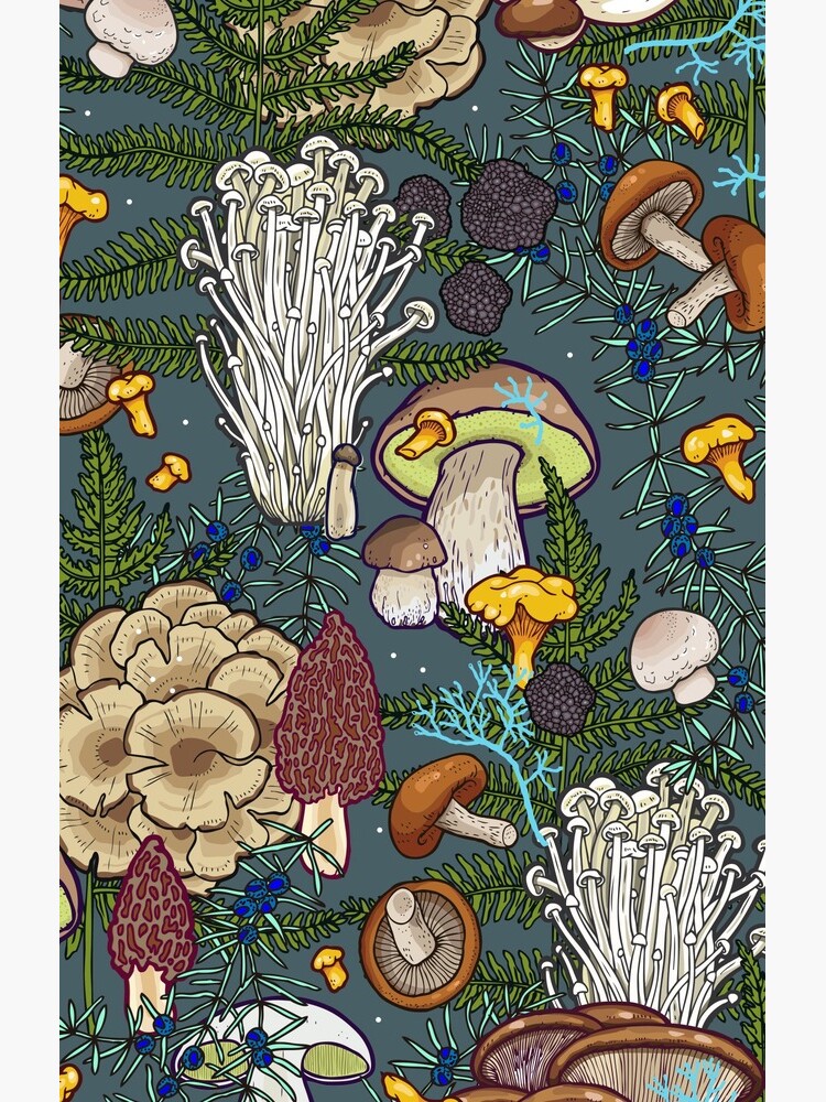 mushroom forest by smalldrawing