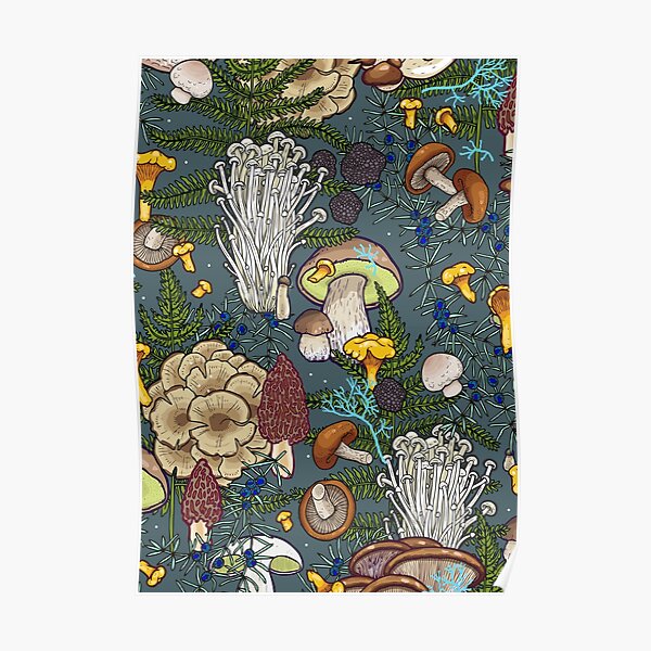 mushroom forest Poster