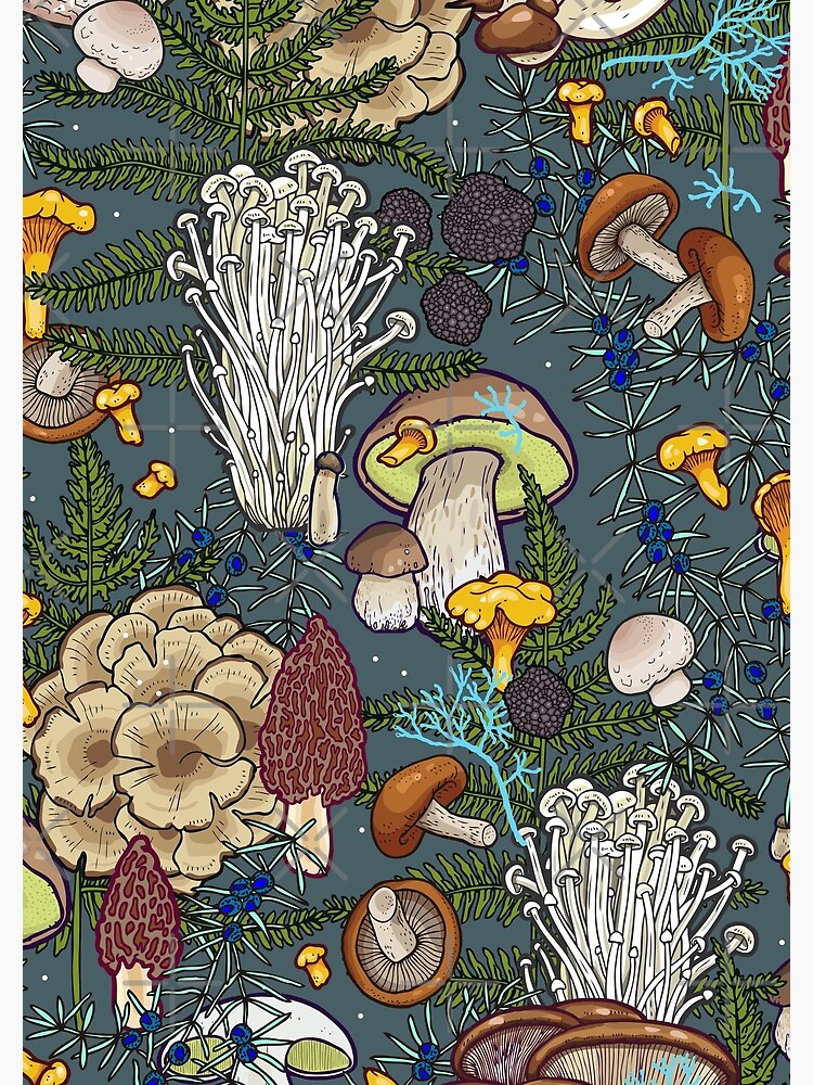 mushroom forest by smalldrawing