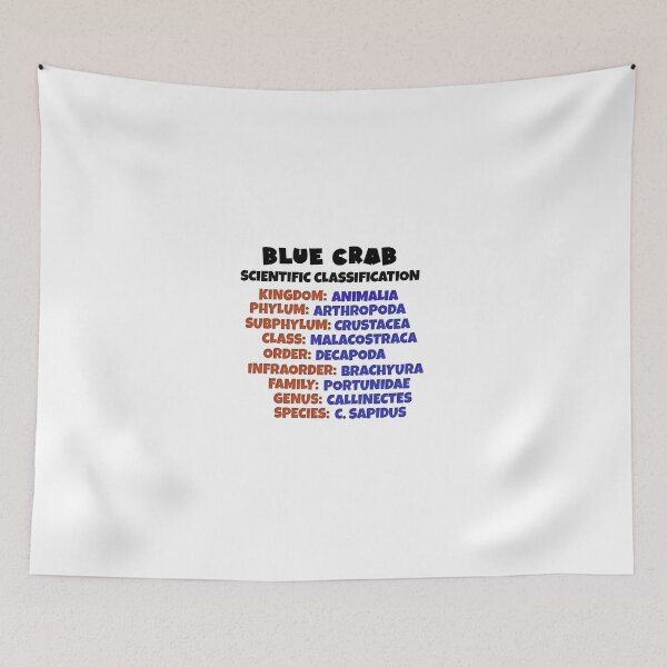 Item preview, Chesapeake Bay Crab Scientific Classification Information designed and sold by baybranded.