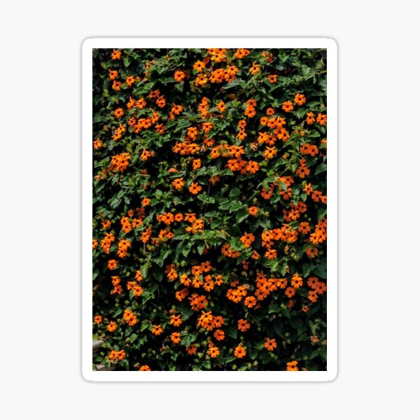 Flower Wall Sticker