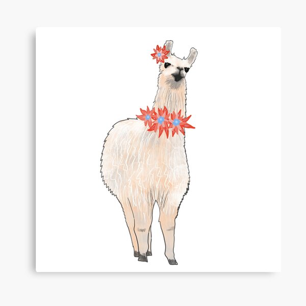 I'm a Llama & I'm Pretty Canvas Print