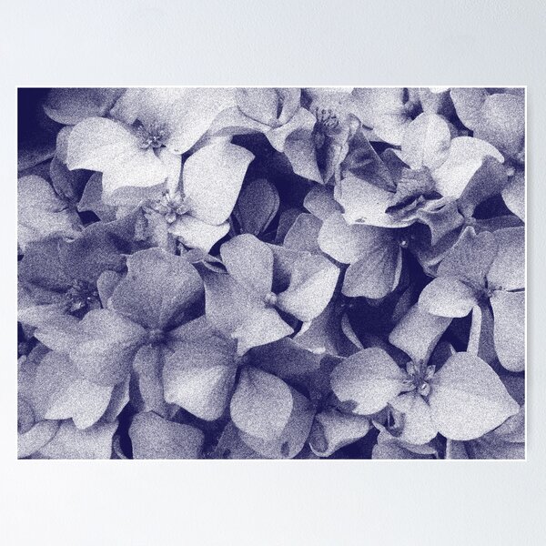 Item preview, Hydrangeas in crayon  designed and sold by poppyflower.