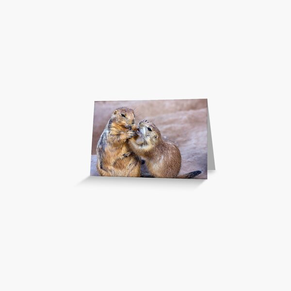 A Tender Moment Greeting Card