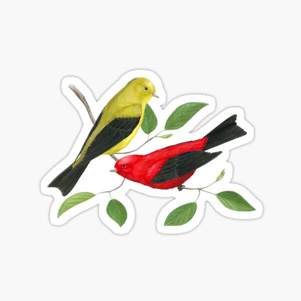 Item preview, Scarlet Tanagers Bird Illustration designed and sold by ABFoleyArt.