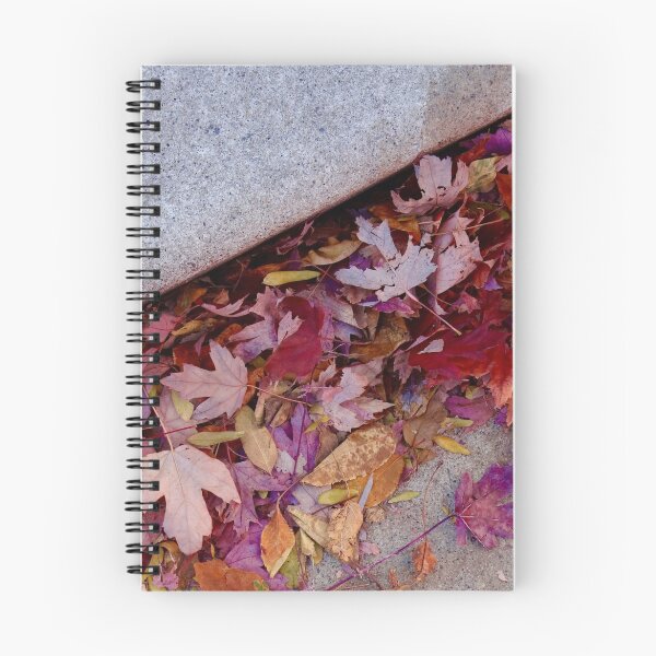 Aperçu de l'œuvre Fallen Leaves créée et vendue par rileypie.