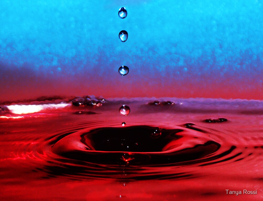 "Water Into Wine" by Tanya Rossi Redbubble