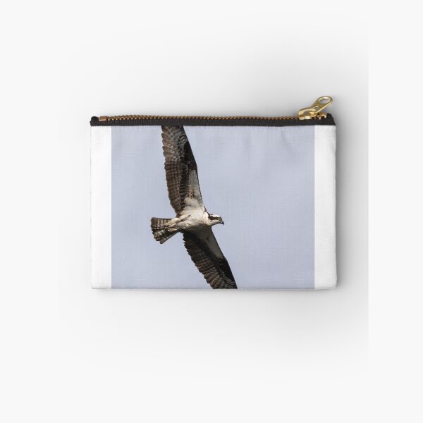 Item preview, Osprey 2019-7 designed and sold by Thomasyoung.
