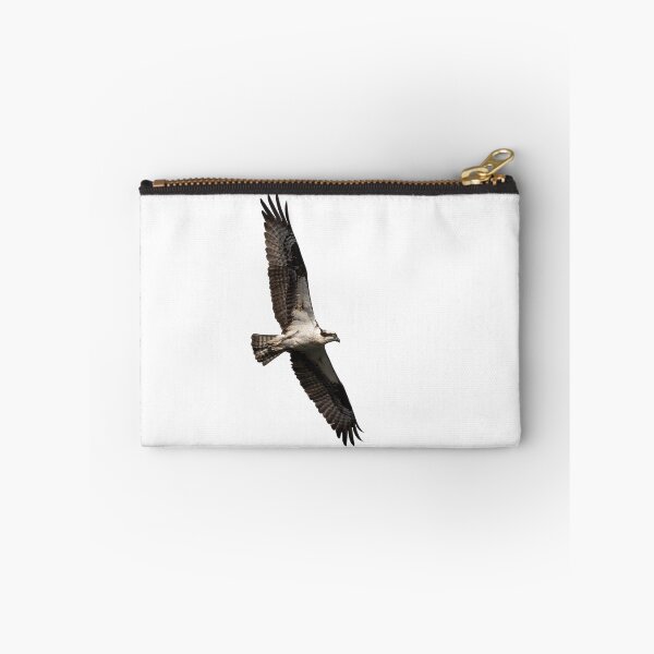 Item preview, Isolated Osprey 2019-3 designed and sold by Thomasyoung.