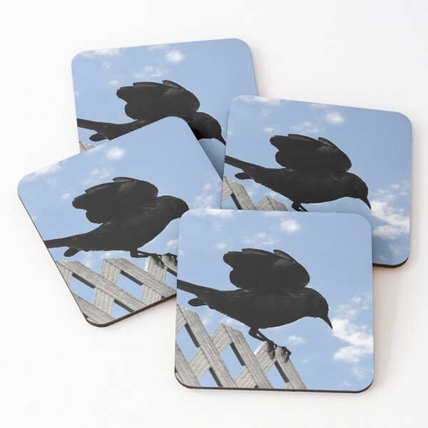 Item preview, ♫ Bye Bye Black Bird ♫ designed and sold by heatherfriedman.