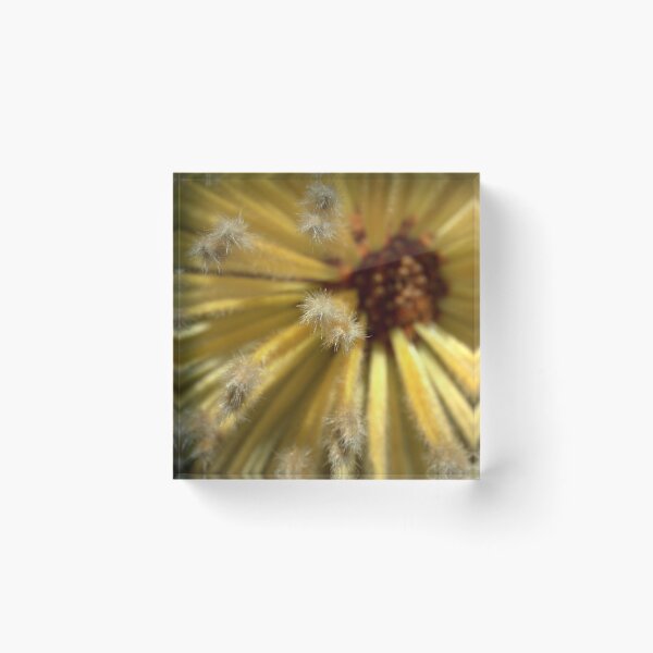Item preview, Decoration designed and sold by Ben Loveday.