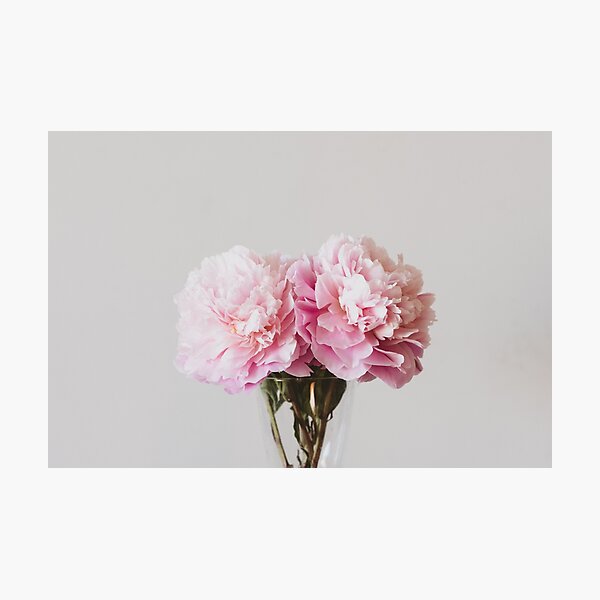 Item preview, Beautiful pink peonies in closeup designed and sold by Natalie Board.