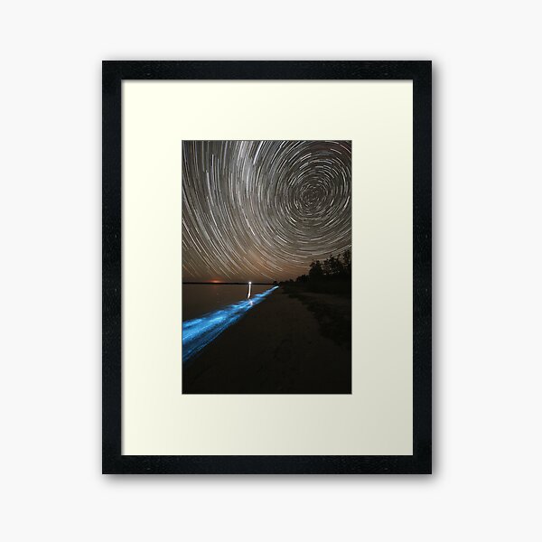 Bioluminescence with Star Trails Framed Art Print
