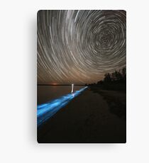 Bioluminescence with Star Trails Leinwanddruck