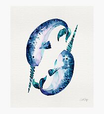 Blue Narwhals Photographic Print