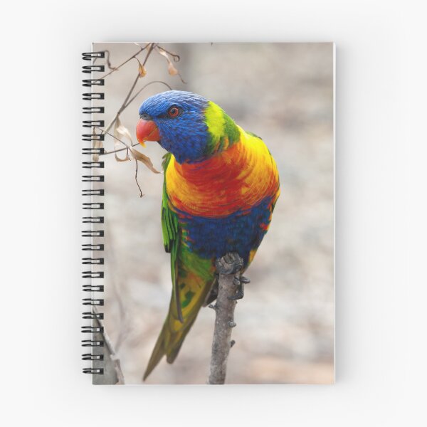 Item preview, Rainbow Lorikeet designed and sold by ImagesbyAB.