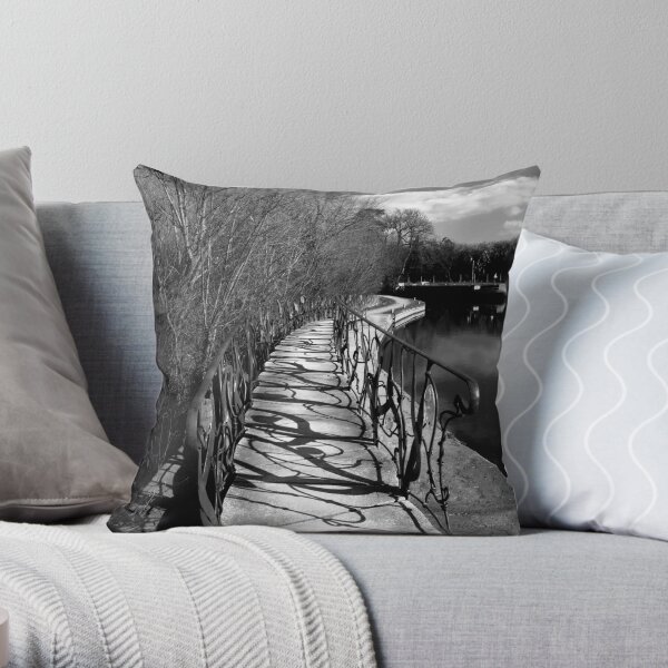 Throw Pillow