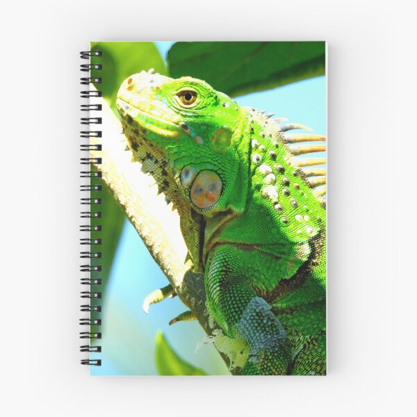 Item preview, Punta Sur Iguana designed and sold by Barnbk02.