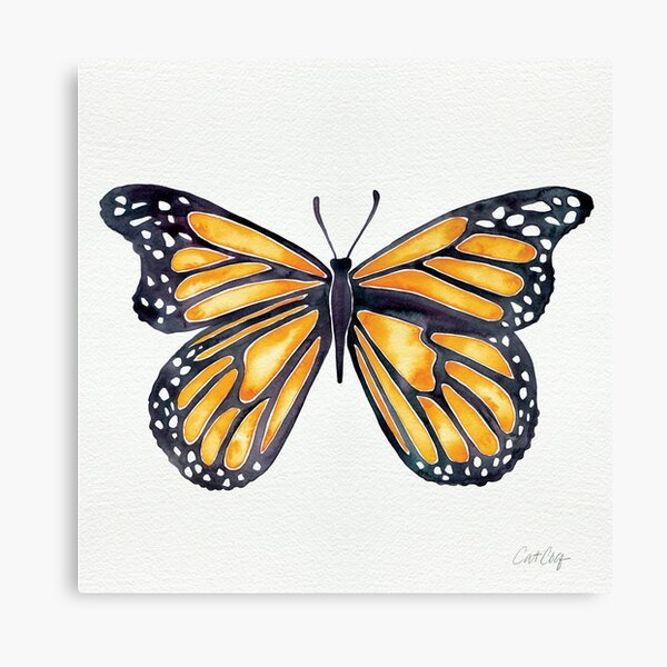 Monarch Butterfly Canvas Print