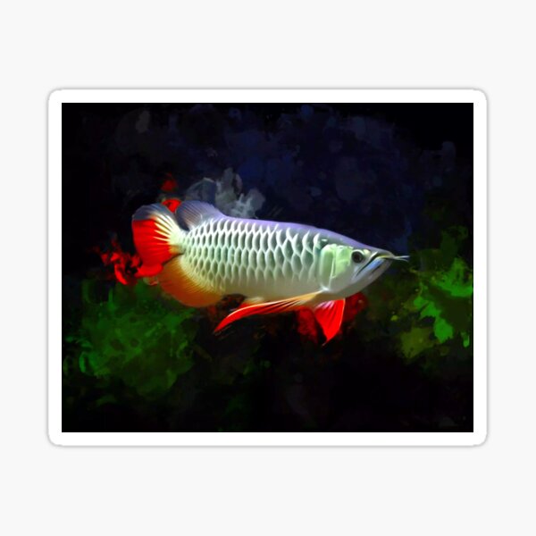 Item preview, Red Fin Arowana Portrait  designed and sold by Digital-designs.