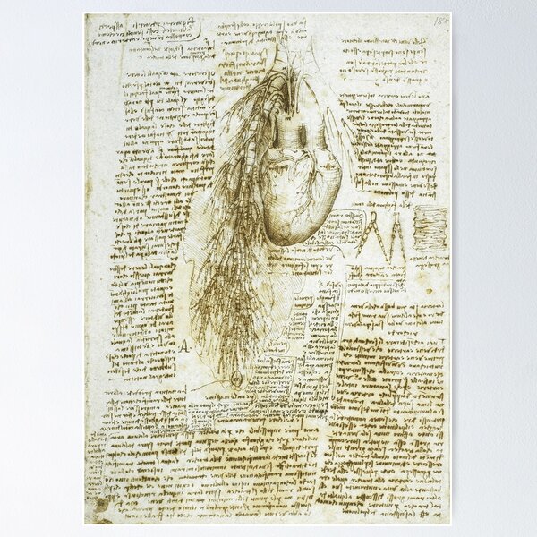 Item preview, Da Vinci Heart Drawing designed and sold by Sintija BILIKA.