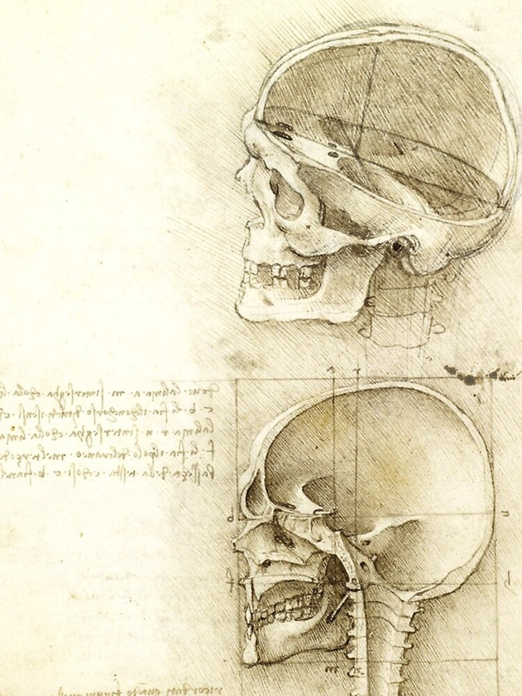 "Leonardo da Vinci Medical Drawing Skull Print" iPhone Case for Sale by