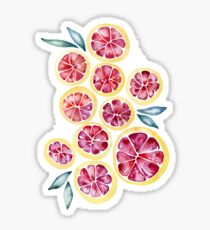 Sliced Grapefruits Watercolor Sticker