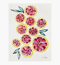 Geschnittene Grapefruits Aquarell Fotodruck