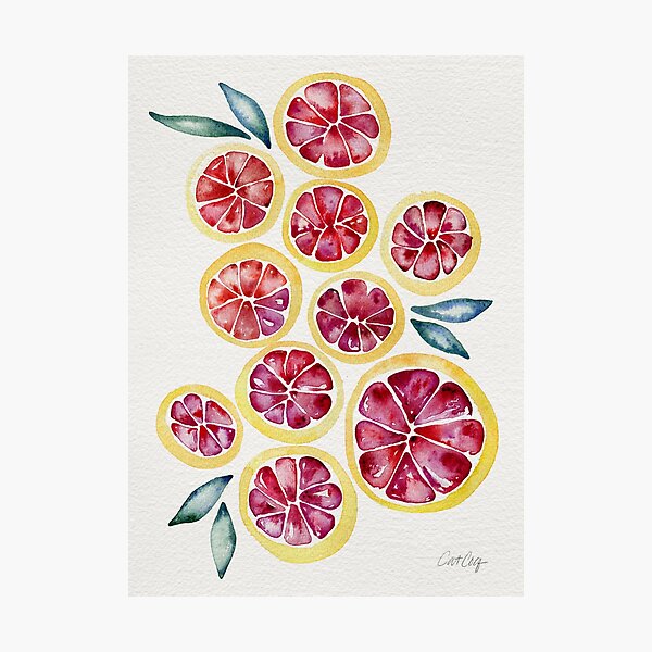 Sliced Grapefruits Watercolor Photographic Print