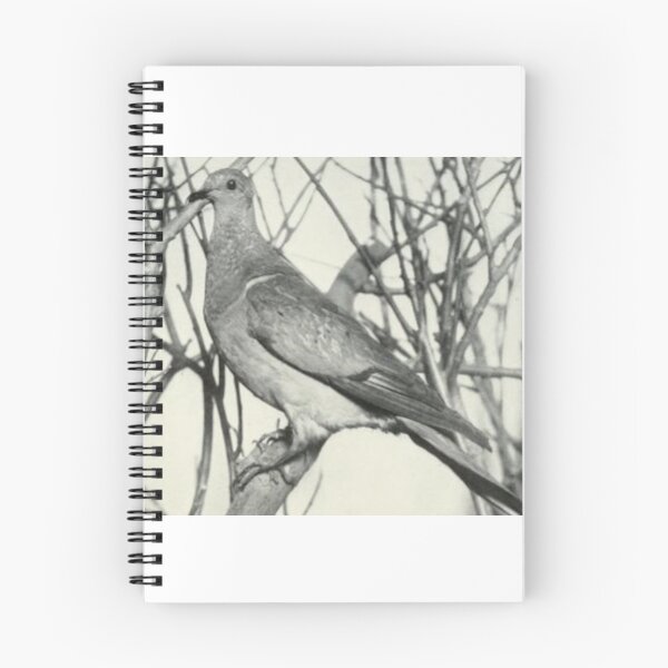 Item preview, Passenger Pigeon designed and sold by Nomad2727.