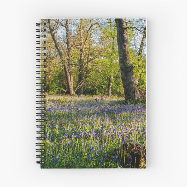 Item preview, Bluebells Ashampstead Common designed and sold by Jim Hellier.