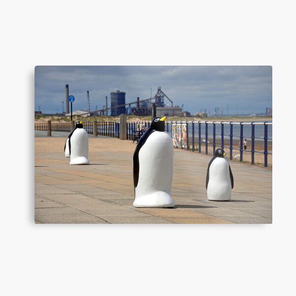 Redcar Penguins with Steel works in the background Metal Print