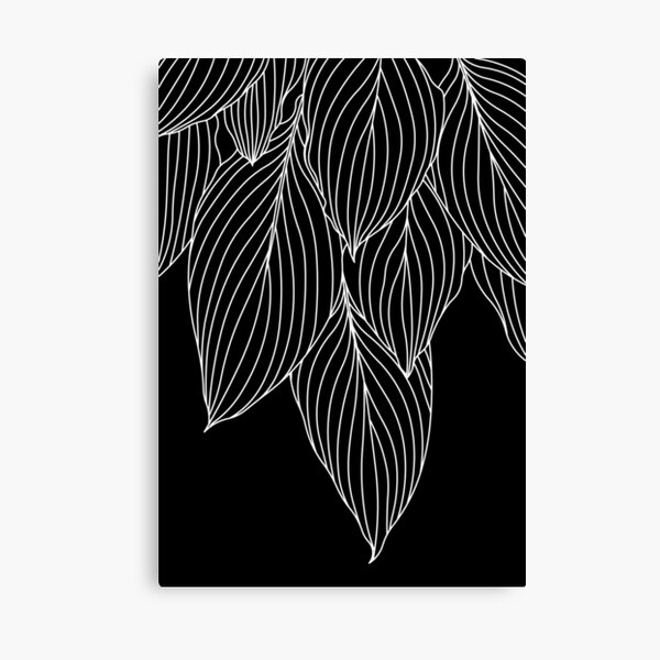 hosta leaves - white and black Canvas Print