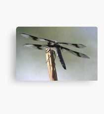 Dragonfly Canvas Print