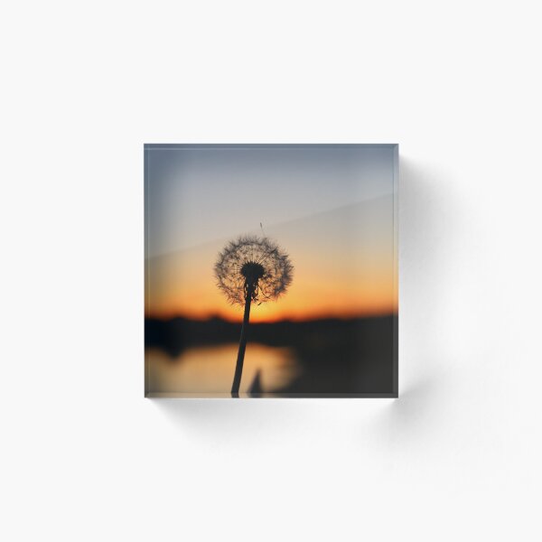 Abend mit Pusteblume Acrylblock