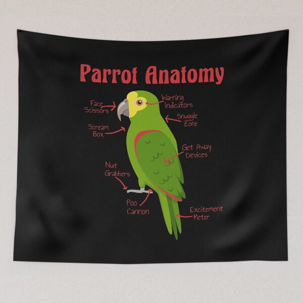 Item preview, Anatomy of an Amazon Parrot designed and sold by einsteinparrot.