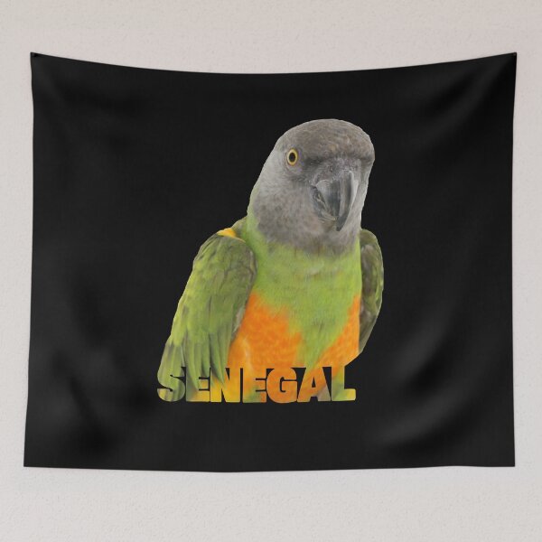 Item preview, African Senegal Parrot Image & Word design designed and sold by einsteinparrot.