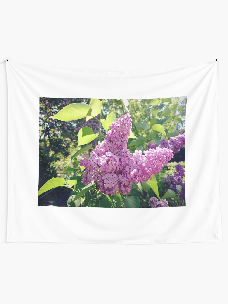 Alternative Ansicht von Flieder-Blüte Wandbehang