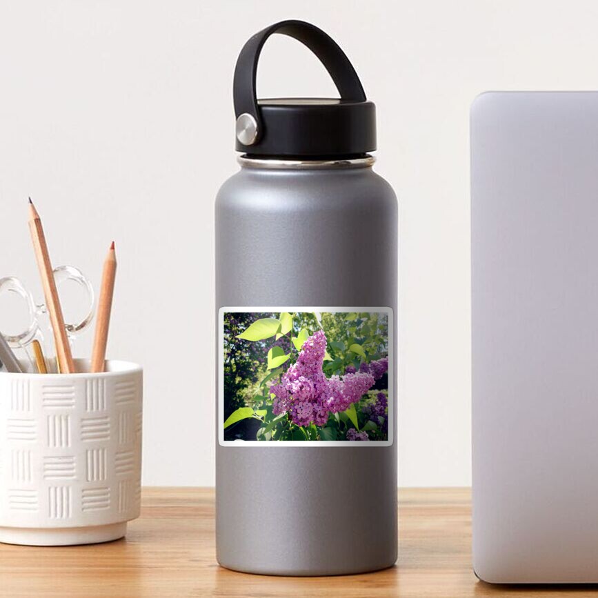 Flieder-Blüte Sticker