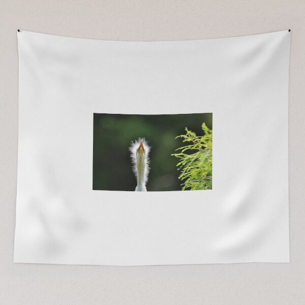 Item preview, Hey Ma........Is That You Way Up There???? designed and sold by Kathy Baccari.