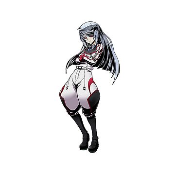 IS (Infinite Stratos)2] Magnet Sticker [Laura Bodewig] (Anime Toy