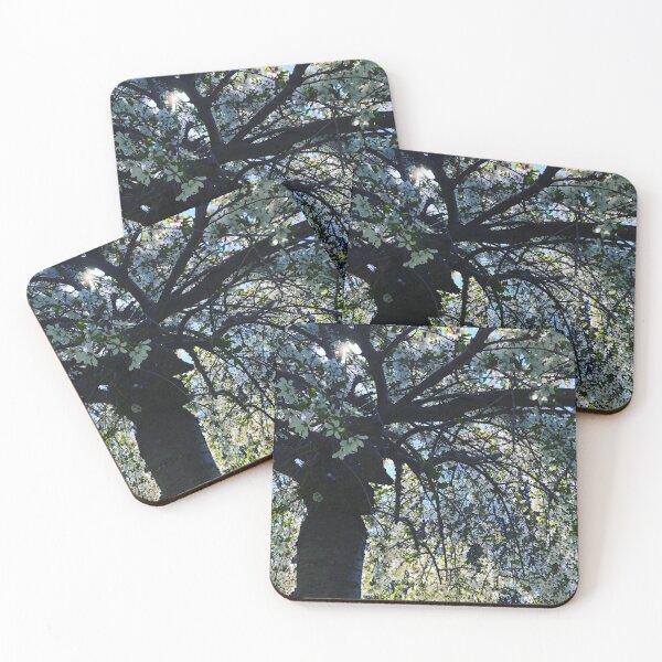 Item preview, Elegant White flowering Spring Cherry tree photo  designed and sold by hollycooper.