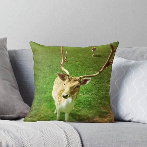 Item preview, You were saying...? designed and sold by Jesvin.