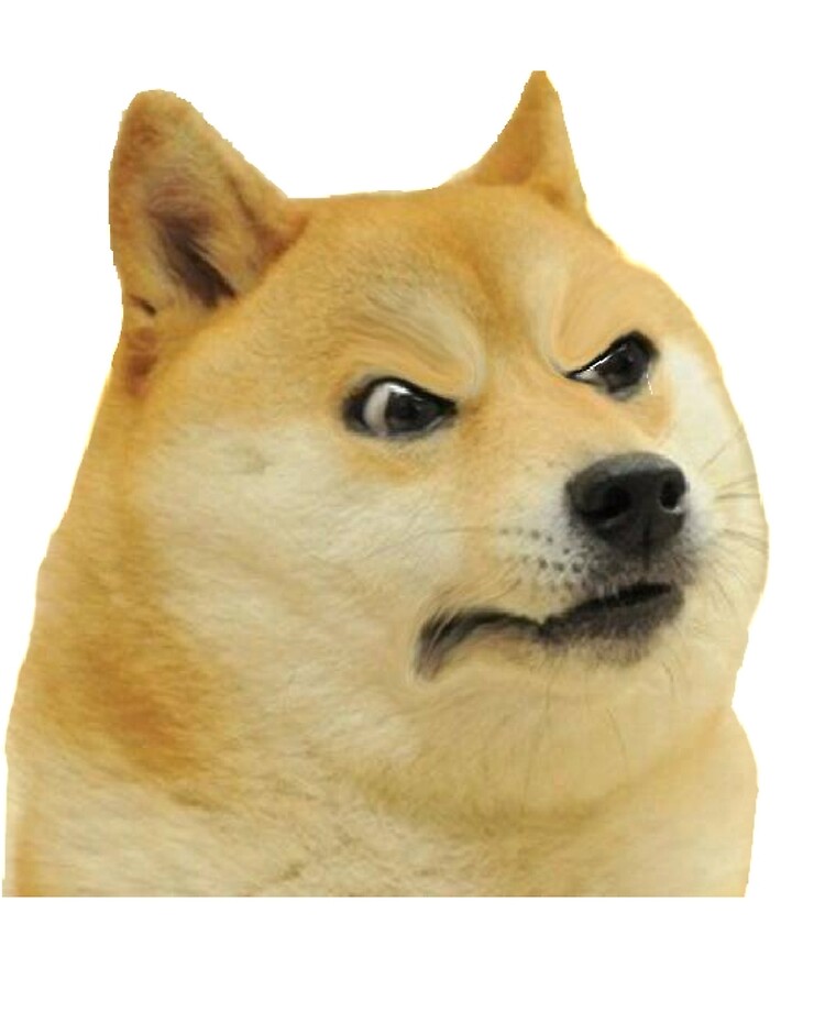 Angry Doge Doge Cat Memes, Dog Memes, Cute Memes | lacienciadelcafe.com.ar