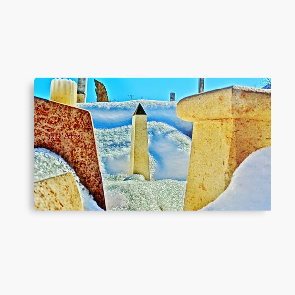 The Colony Slowly Emerges from its White Winter Blanket Metal Print