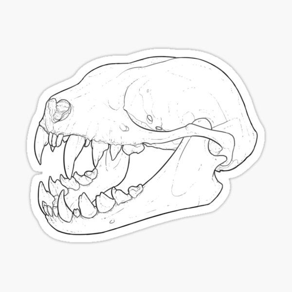 Item preview, Lesser Short-nosed Fruit Bat designed and sold by T-VR.