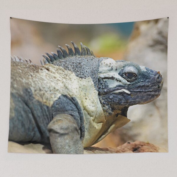 Item preview, So says the Lizard King: "I pride myself on my profile, which is why I have gotten so far in life and have achieved so much. Now someone go find me something to eat." designed and sold by Scott Mitchell.